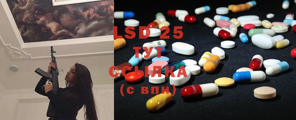 ГАЛЛЮЦИНОГЕННЫЕ ГРИБЫ Майский