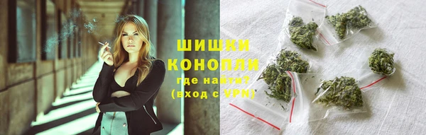 ГАЛЛЮЦИНОГЕННЫЕ ГРИБЫ Майский