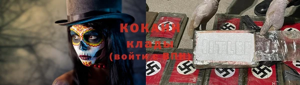 apvp Магадан