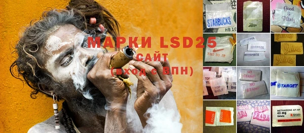 ГАЛЛЮЦИНОГЕННЫЕ ГРИБЫ Майский