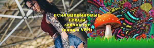 apvp Магадан