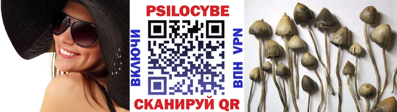 omg ТОР  что такое наркотик  Яблоновский  Галлюциногенные грибы мицелий 